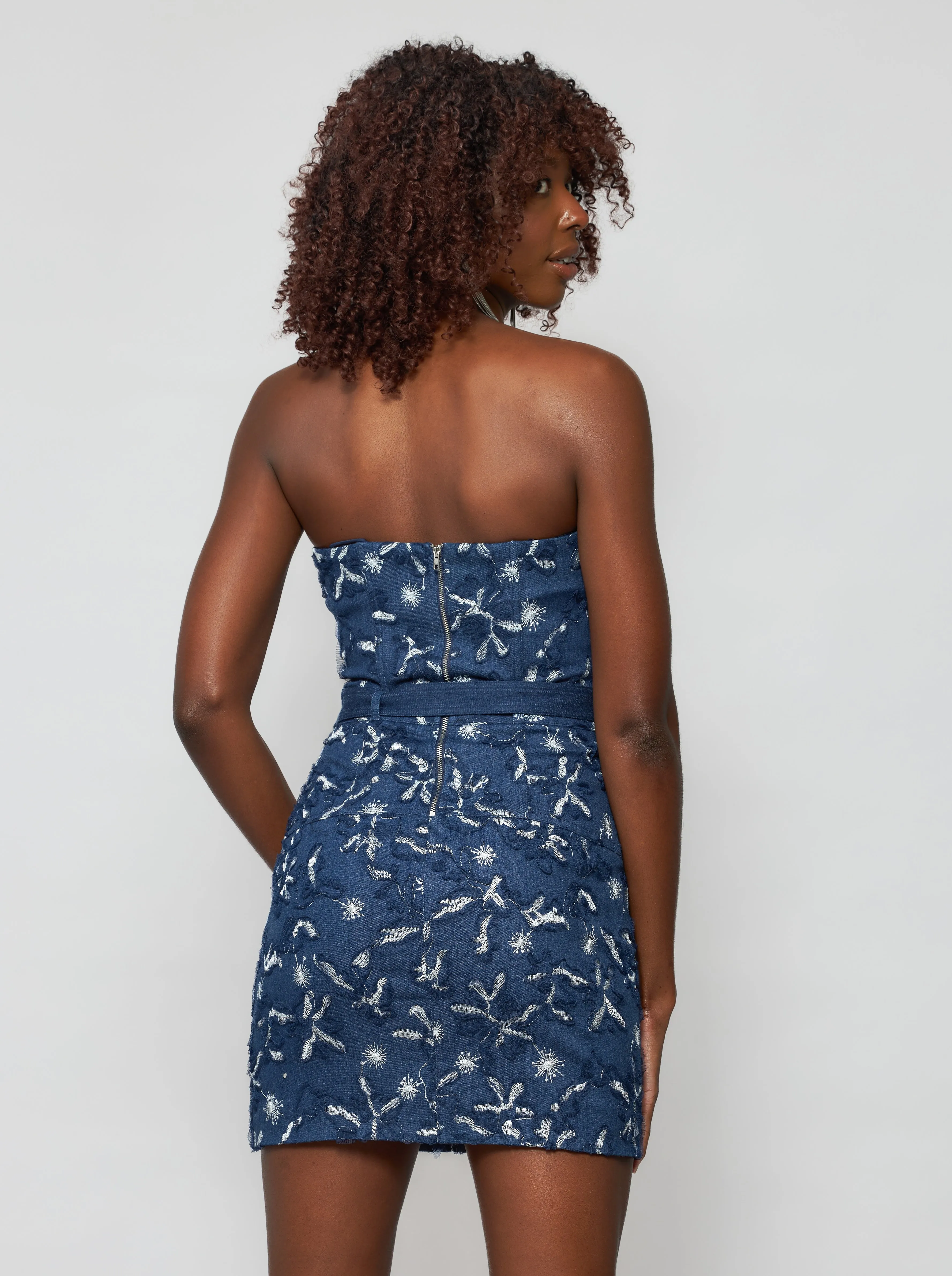 Erie Denim Strapless Dress