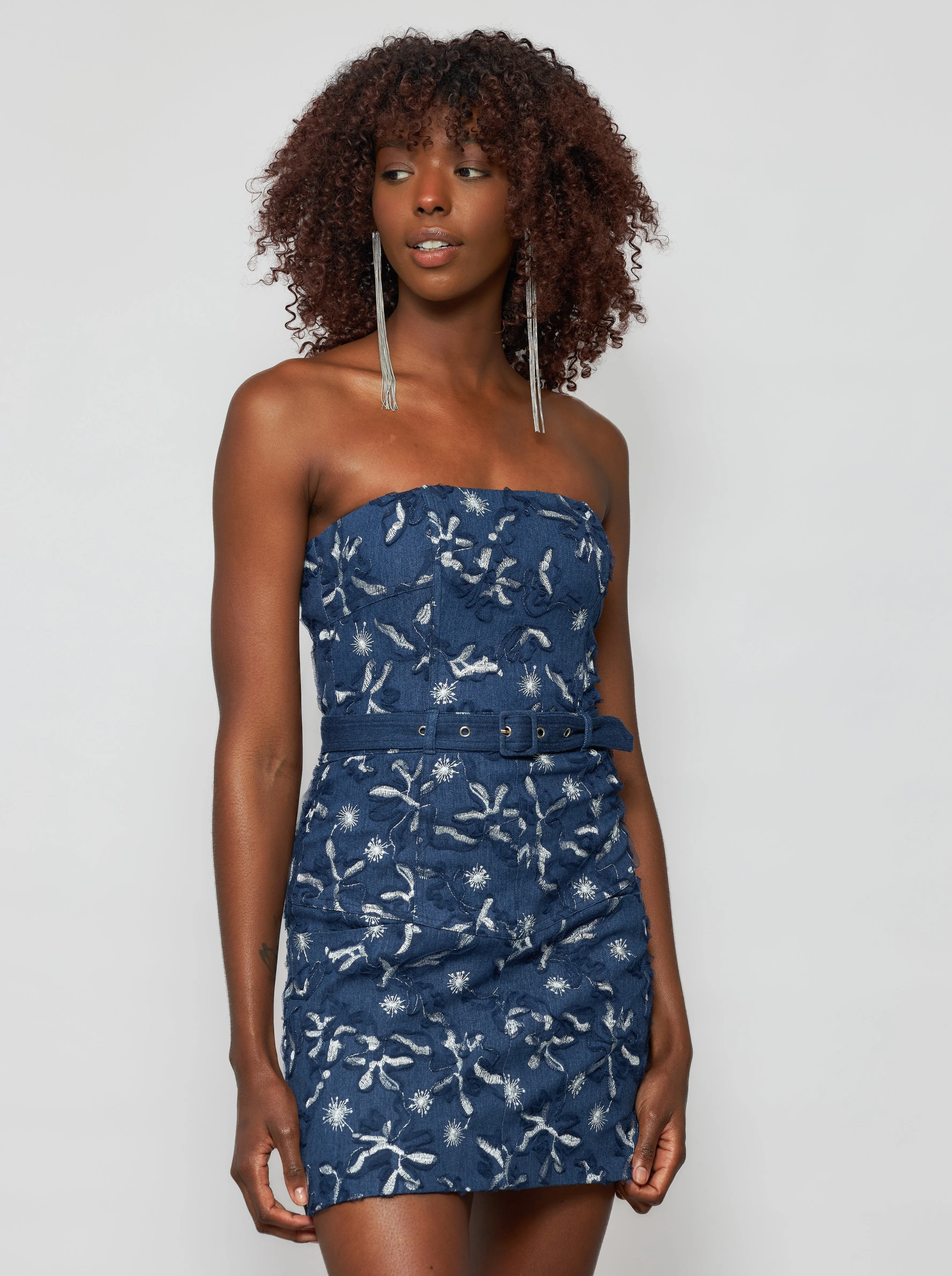 Erie Denim Strapless Dress