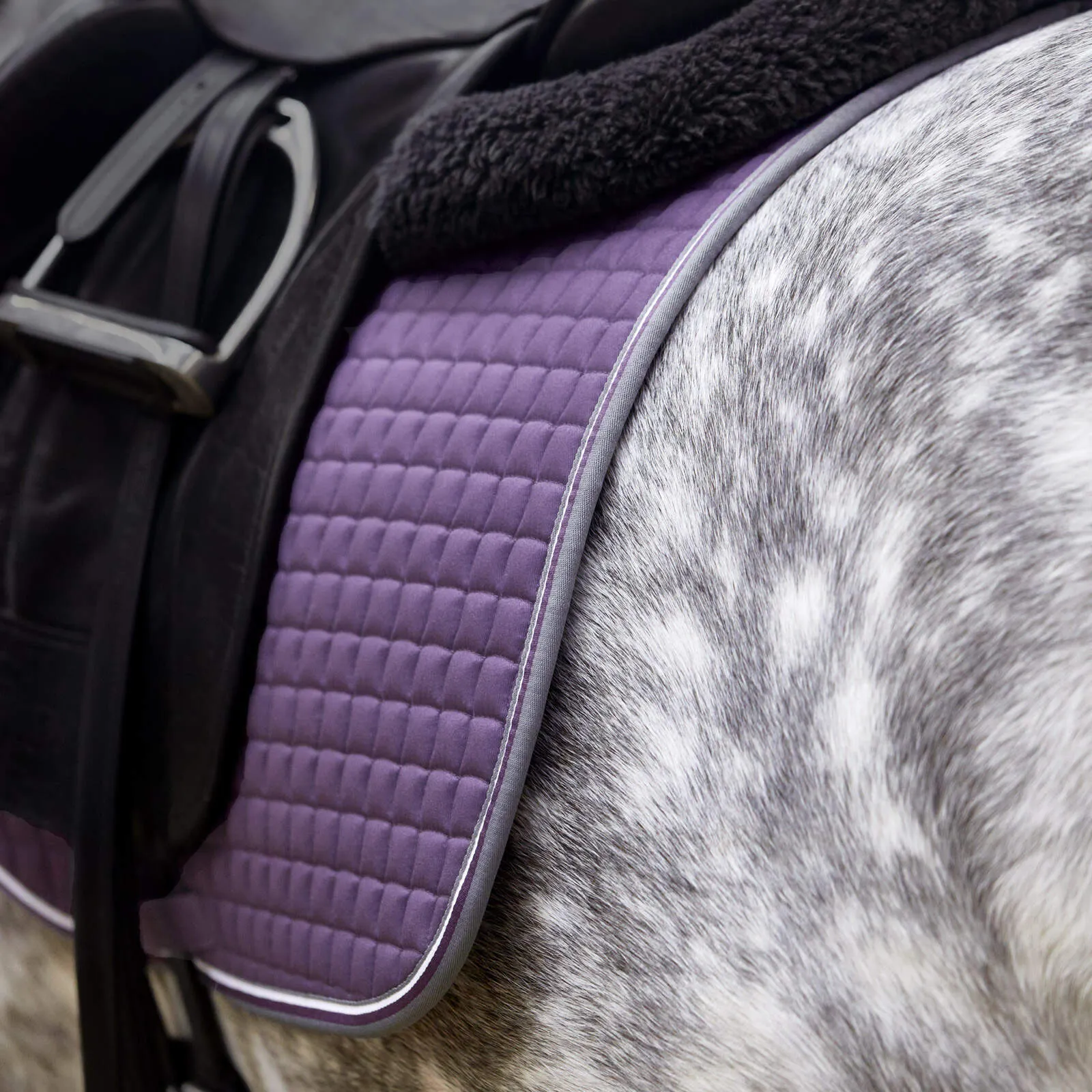 Horze Adepto All Purpose Pad (Purple)
